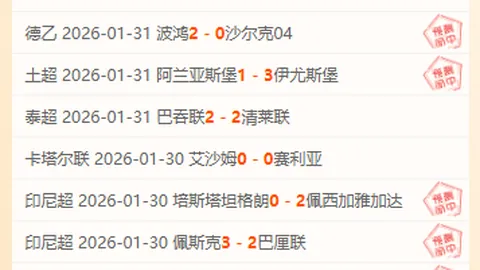 巴西甲专家质合分析：期号送分题，佛拉门戈前景展望